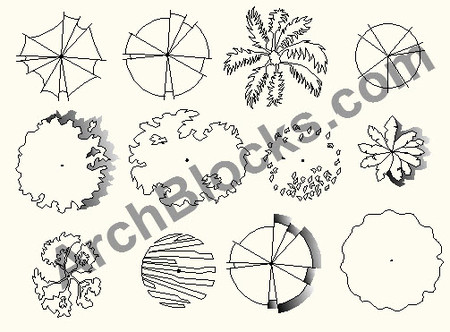 ArchBlocks CAD Trees in Plan View