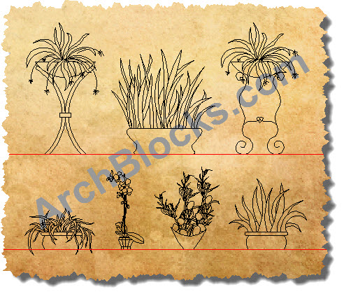 Indoor Plants CAD Symbols