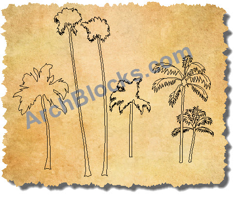CAD Symbols Palm trees 