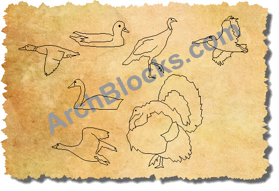 AutoCAD Drawings of Turkeys