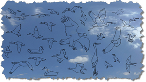 CAD Bird Blocks