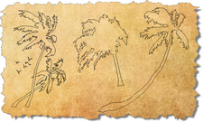 CAD Palm Tree Blocks