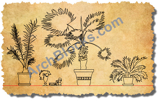 AutoCAD Symbols House Plants 02