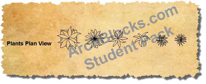 Student AutoCAD Blocks Plants