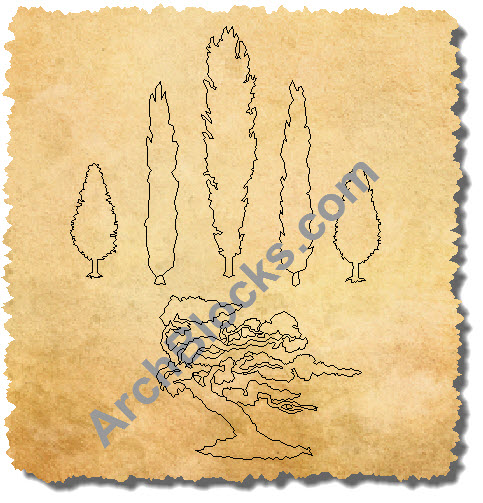 Tall Trees CAD Symbols Elevation Drawings