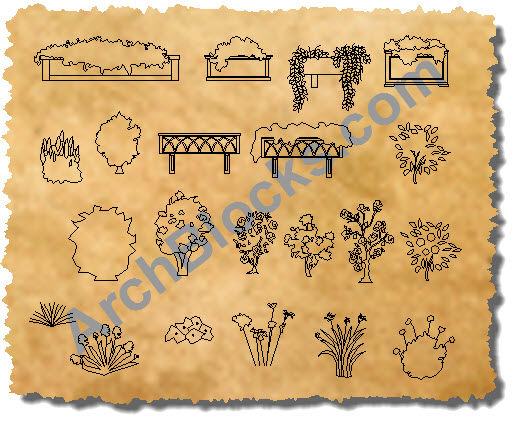 Planter Boxes CAD Symbols Rose Bushes