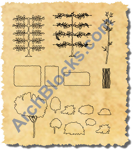 CAD Blocks Espalier Vines + Bamboo Plants Shrubs