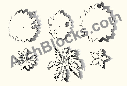 CAD Tree Symbols Plan View