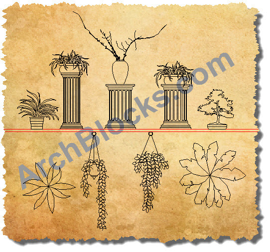 Plant AutoCAD Blocks CAD Plant Symbols Elevation & Plain View